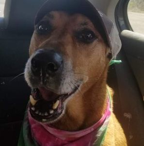 Meet your Posher, Kristine